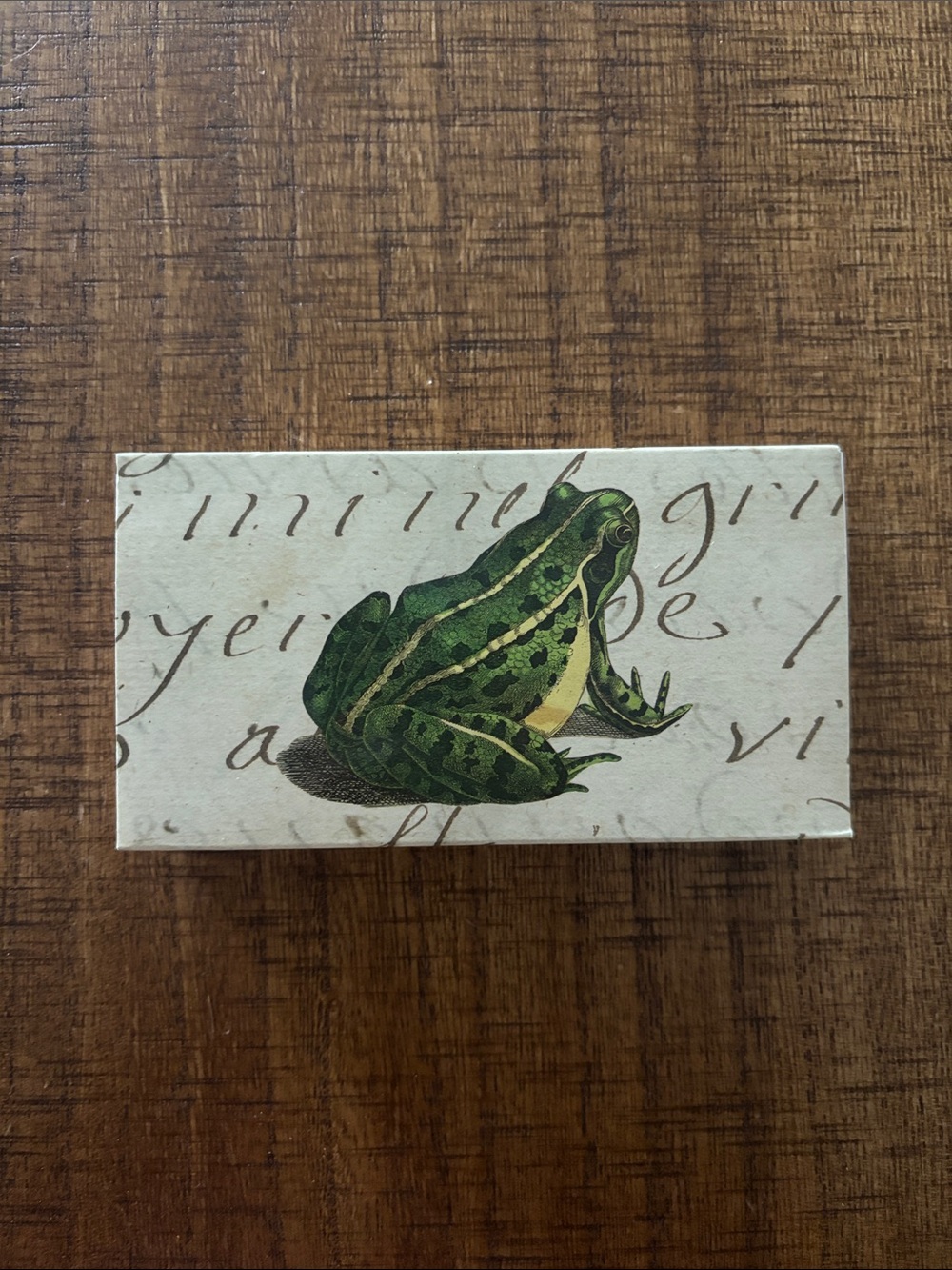Green Frog Reptile reversible Crown Matchbox